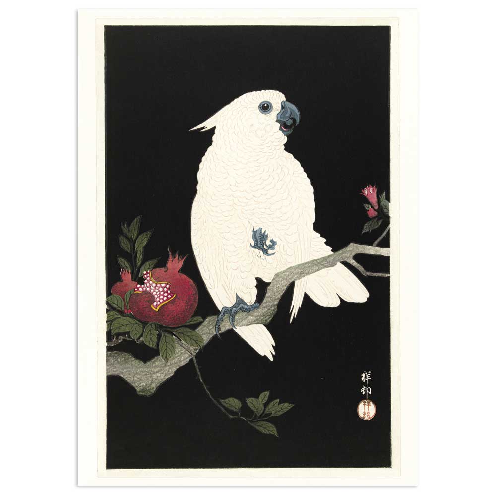 Granatæbletyven - Plakat med kakadue efter japansk træsnit af Ohara Koson - 50x70cm