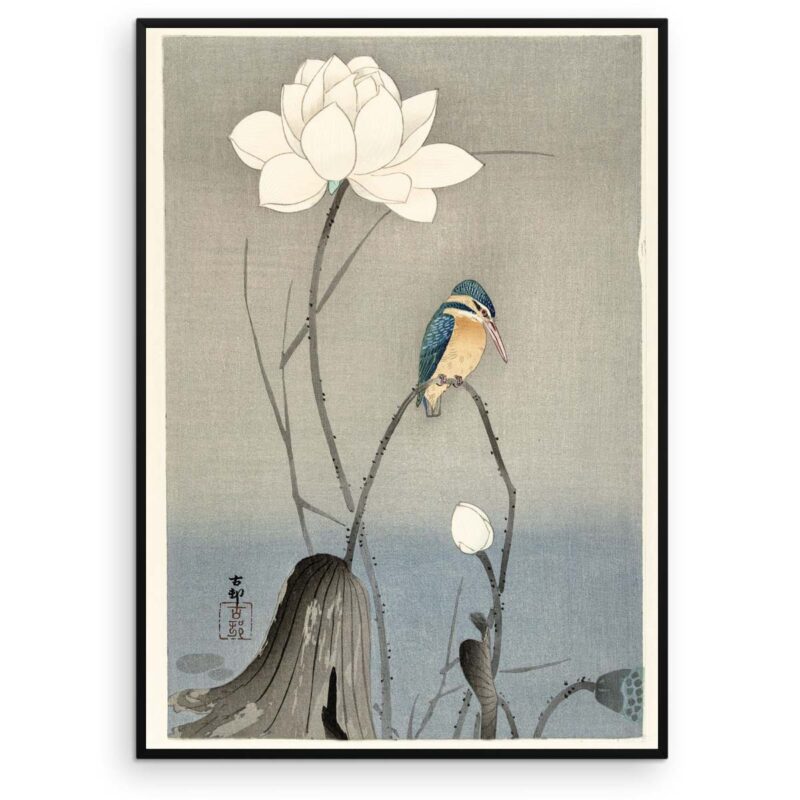 Plakat - Japansk Træsnit - Isfugl med Lotus Blomst - Aruhana