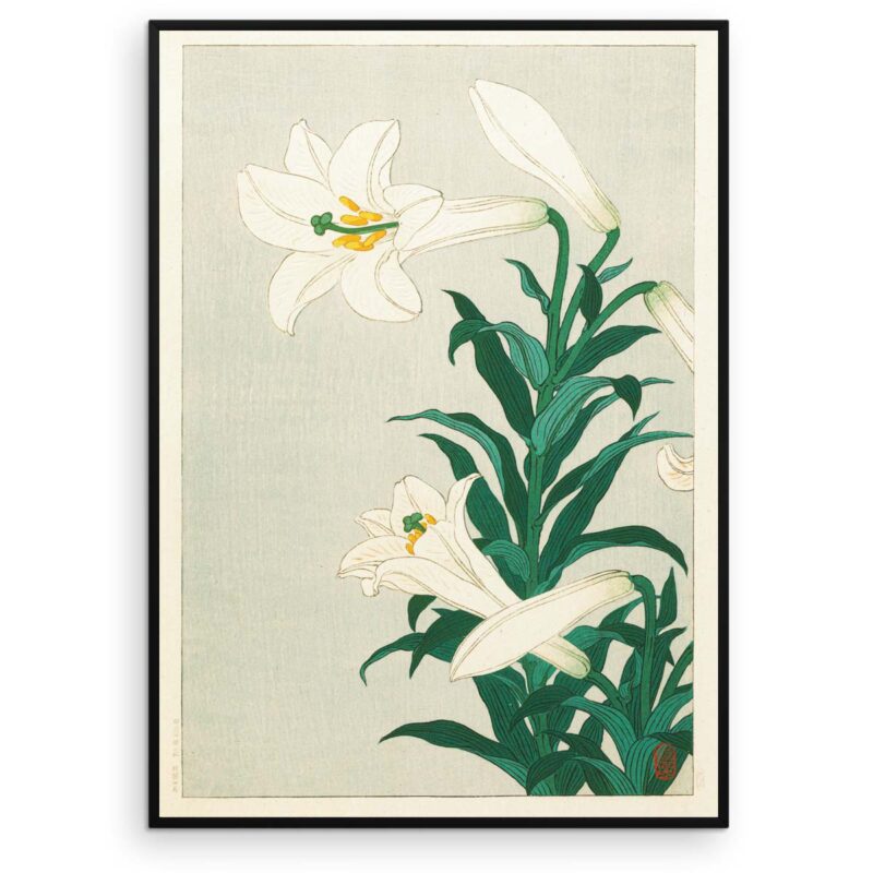 Plakat - Liljer - Japansk Træsnit af Ohara Koson - Aruhana