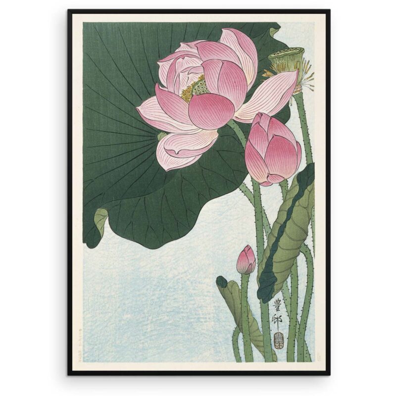 Plakat - Blomstrende Lotus - Ohara Koson Japansk Træsnit - Aruhana