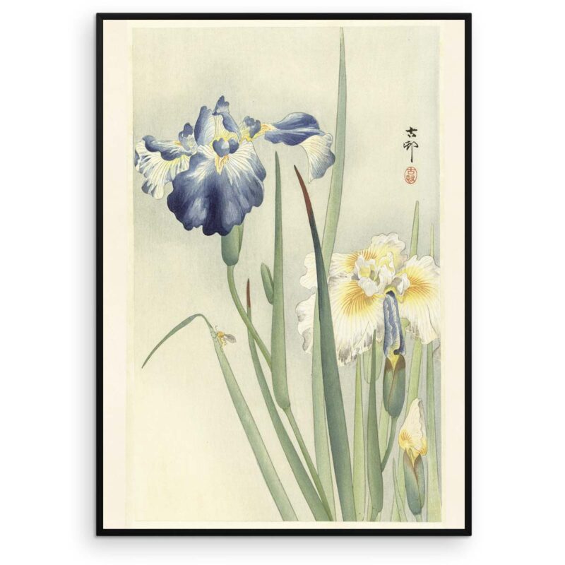 Plakat - Japansk Træsnit - To iris i blomst af Ohara Koson - Aruhana