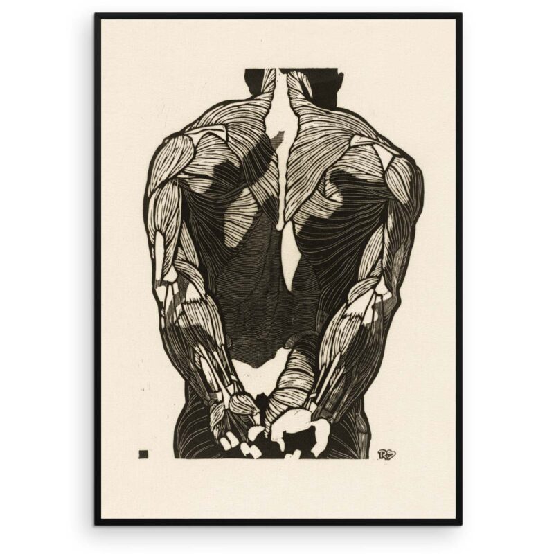 Plakat - Anatomisk træsnit - Studie af en mands ryg og arme - Aruhana