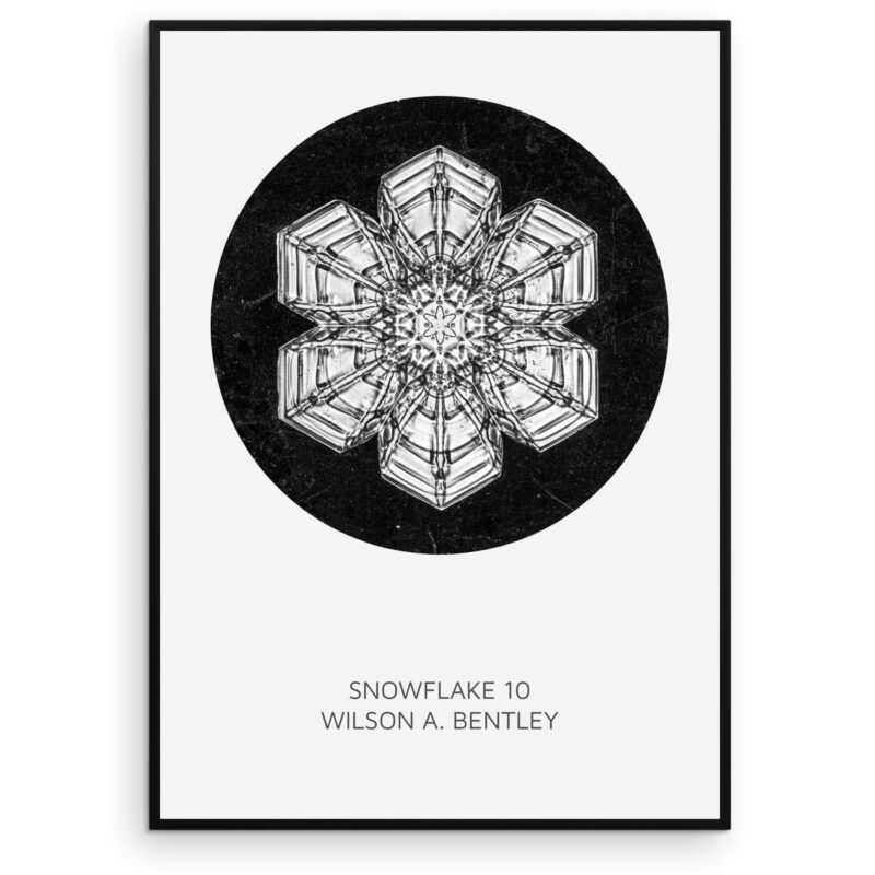 Snefnug plakat - Snowflake 10 - Wilson Bentley - Aruhana