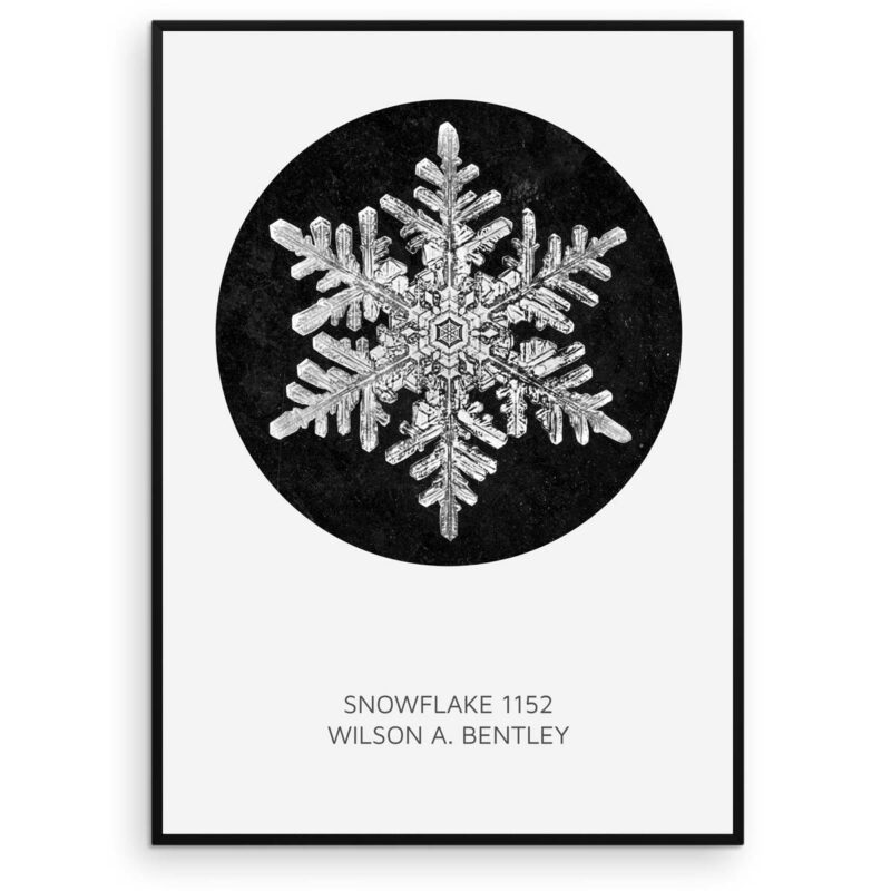 Snefnug plakat - Snowflake 1152 - Wilson Bentley - Aruhana