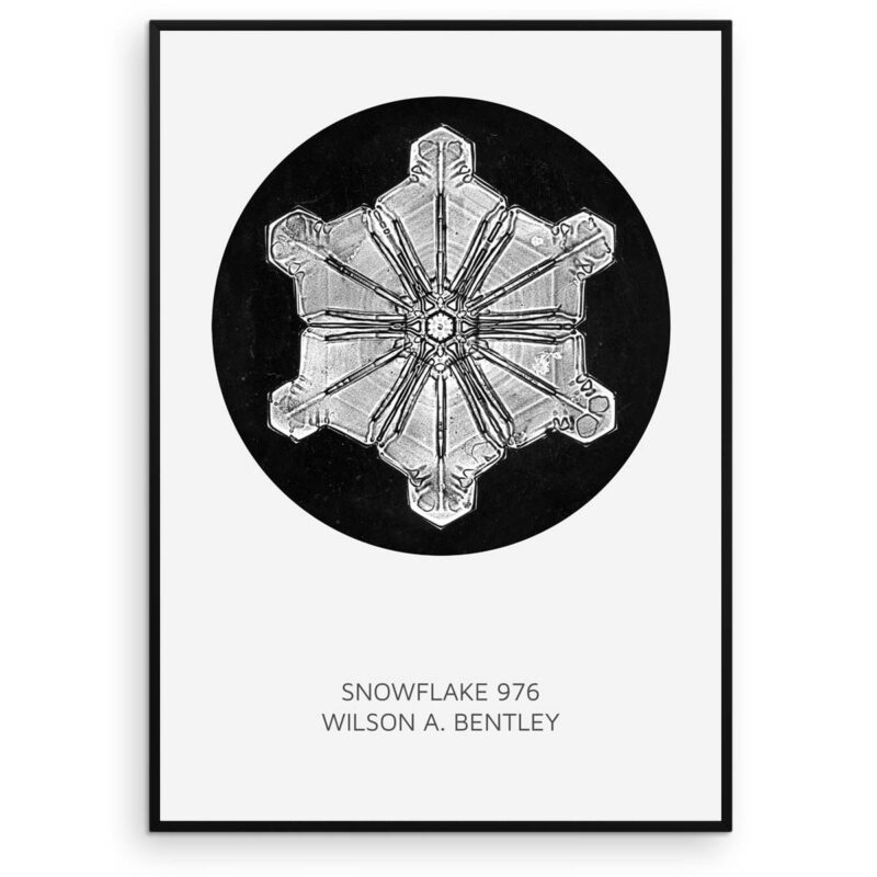Snefnug plakat - Snowflake 976 - Wilson Bentley - Aruhana