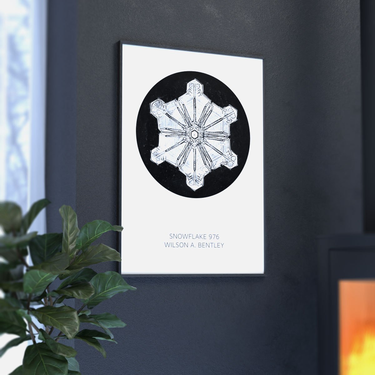 Snefnug plakat - Snowflake 976 - Wilson Bentley - Aruhana