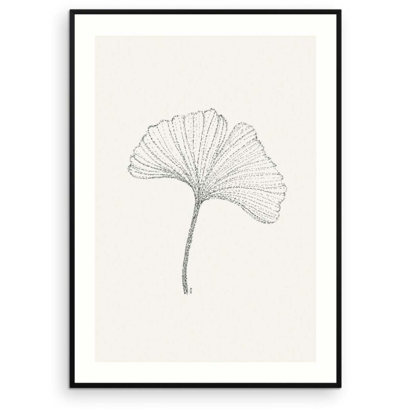 Plakat med tegning af Ginkgo blad - Blæk på papir - Aruhana Original