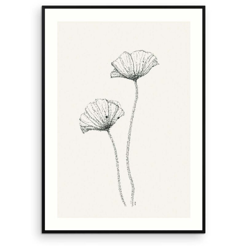 Poppies - Valmuer plakat - Blæk tegning på pair - Aruhana